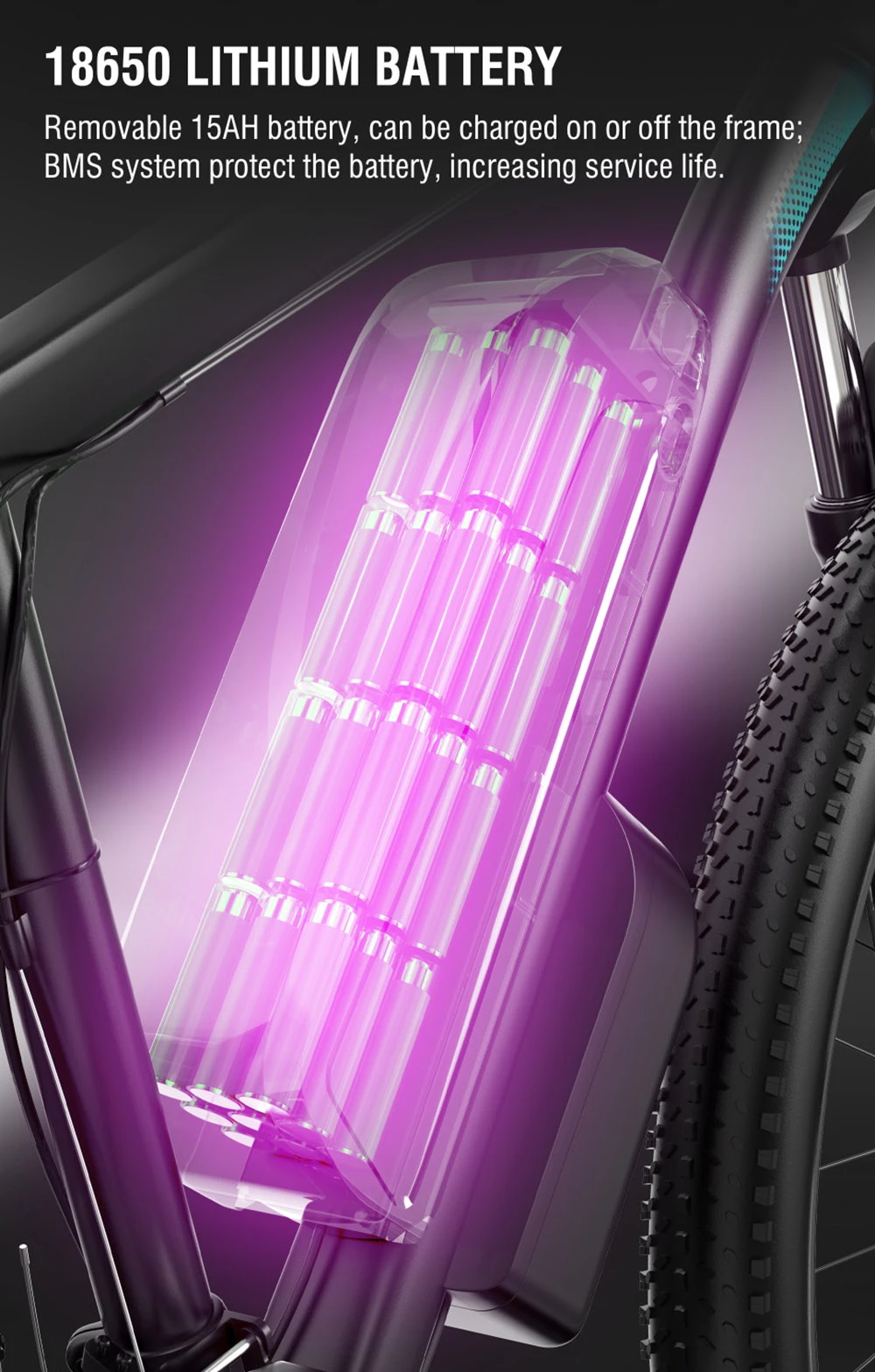 DUOTTS-C29-Electric-Bike-750W-Mo (1)